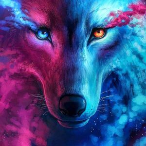 Meet your Posher, Jean